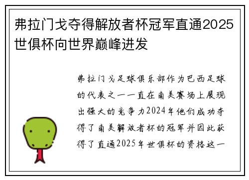 弗拉门戈夺得解放者杯冠军直通2025世俱杯向世界巅峰进发